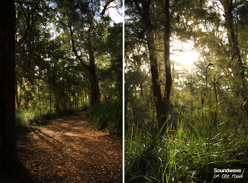 Light and Shadows