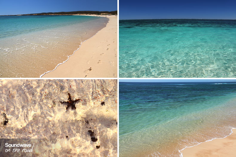 Coral sea