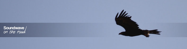 Eagle