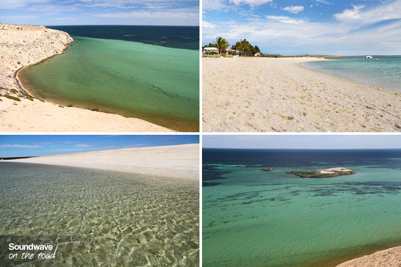 Shark Bay