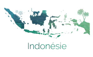 Voyage en Indonésie