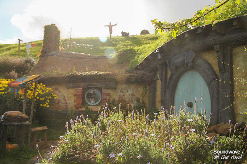 Hobbiton hilight