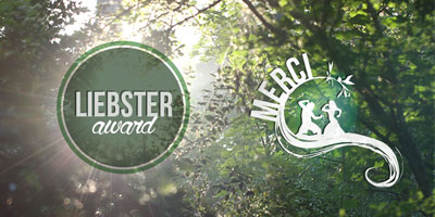 Liebster Award - Soundwave on the road