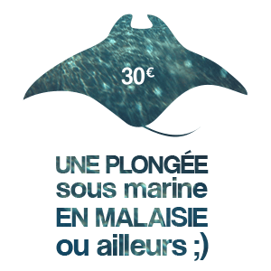 Une plongée sous marine