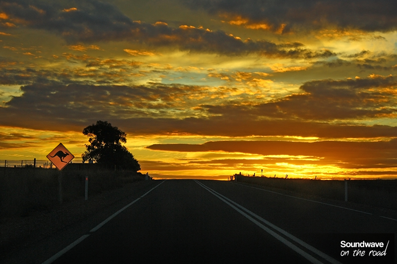 Coucher de soleil dans l'outback
