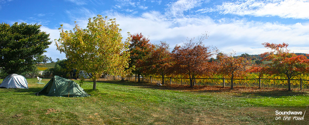Paysage d'automne en Tasmanie
