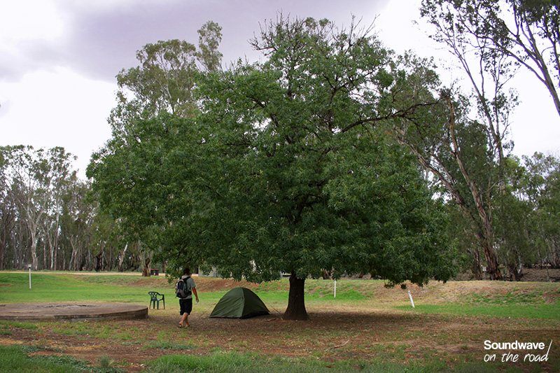 Camping : tente verte sous un arbre
