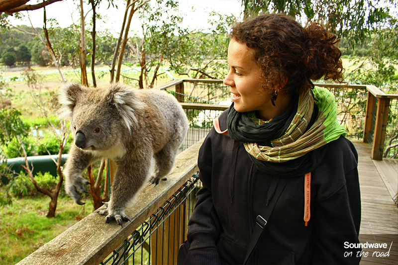 Un koala et une jeune femme