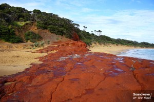 Cap sur Phillip Island, son spot de surf et ses koalas • Soundwave on ...