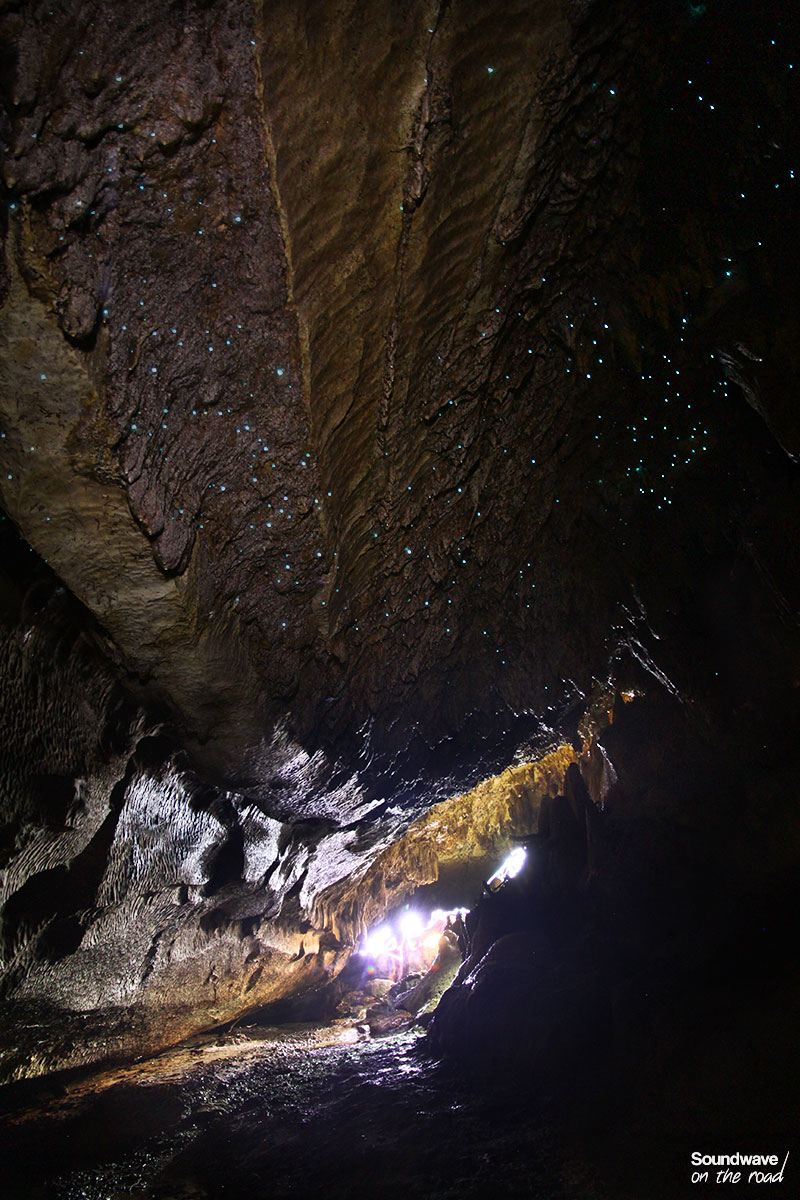 Vers luisants dans une grotte en Nouvelle Zélande