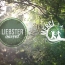 Blog Voyage Nominé Au Liebster Award