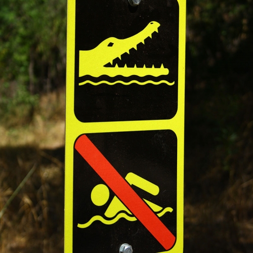 No Swimming In The Park