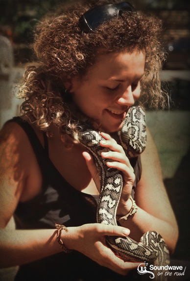 Serpent en Australie : Carpet diamond python