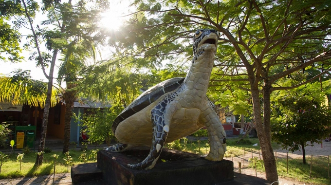 Centre D'éducation Et De Conservation Des Tortues à Bali