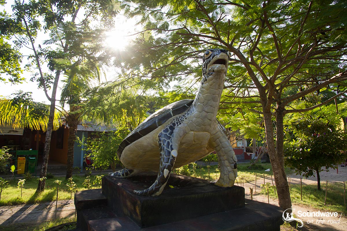 Centre d'éducation et de conservation des tortues à Bali