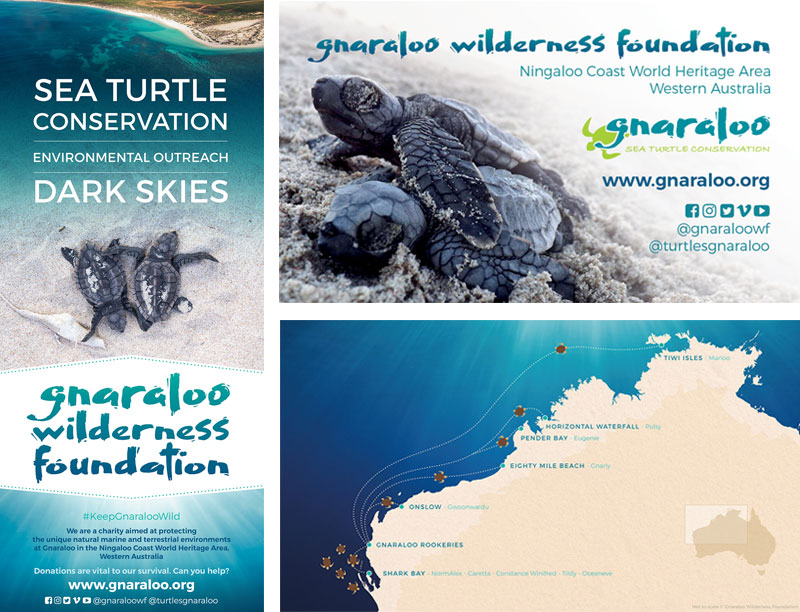 Design graphique pour une association de protection de l'environnement / Graphic Design for a not-for-profit charity