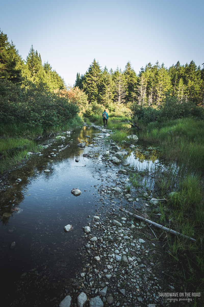 Randonnée dans le parc national de Fundy au Nouveau Brunswick