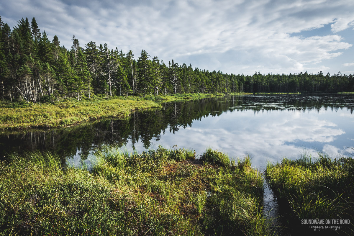 Fundy National Park, New Brunswick