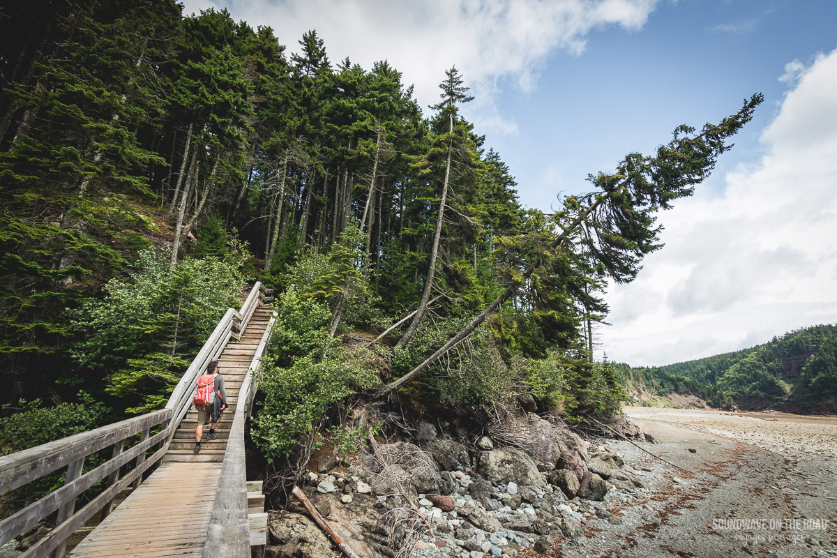 Randonnée dans le parc national de Fundy au Nouveau Brunswick