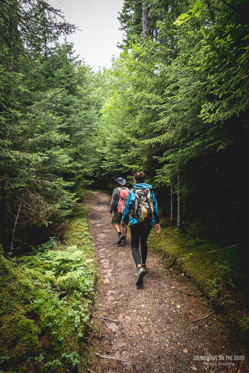 Randonnée dans le parc national de Fundy au Nouveau Brunswick