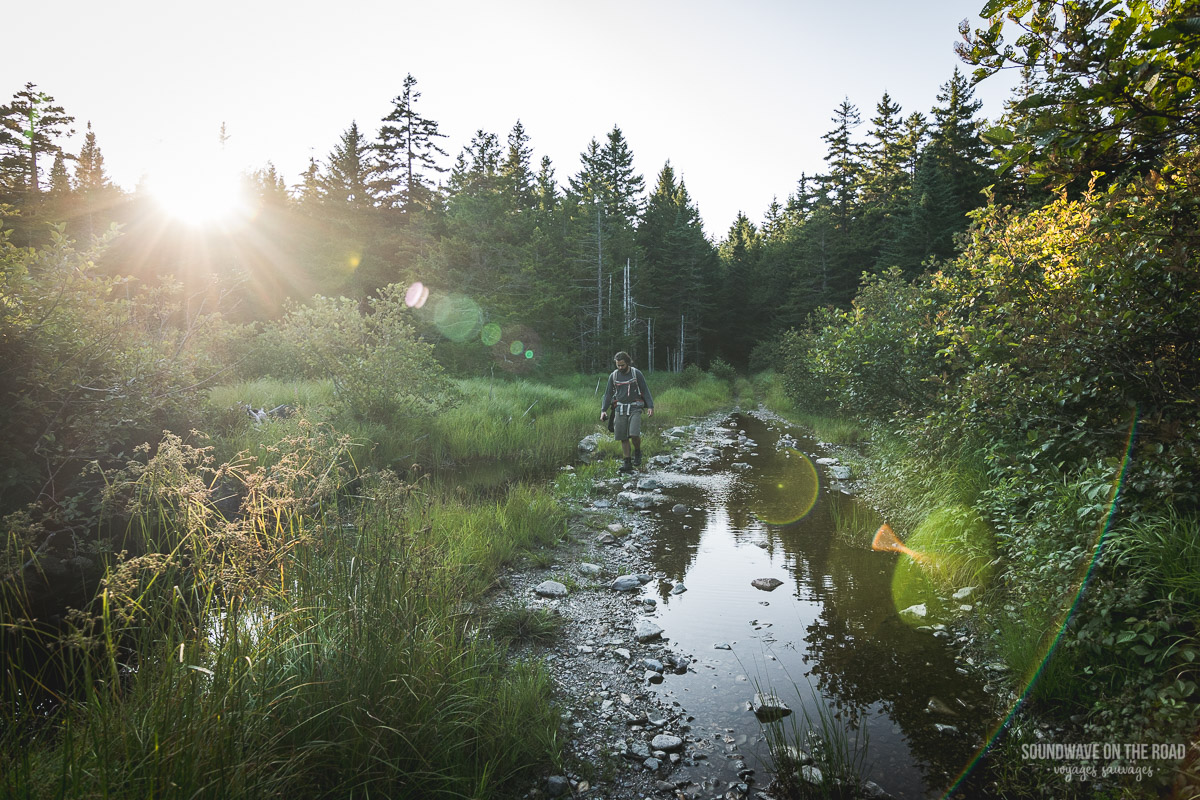 Randonnée dans le parc national de Fundy au Nouveau Brunswick