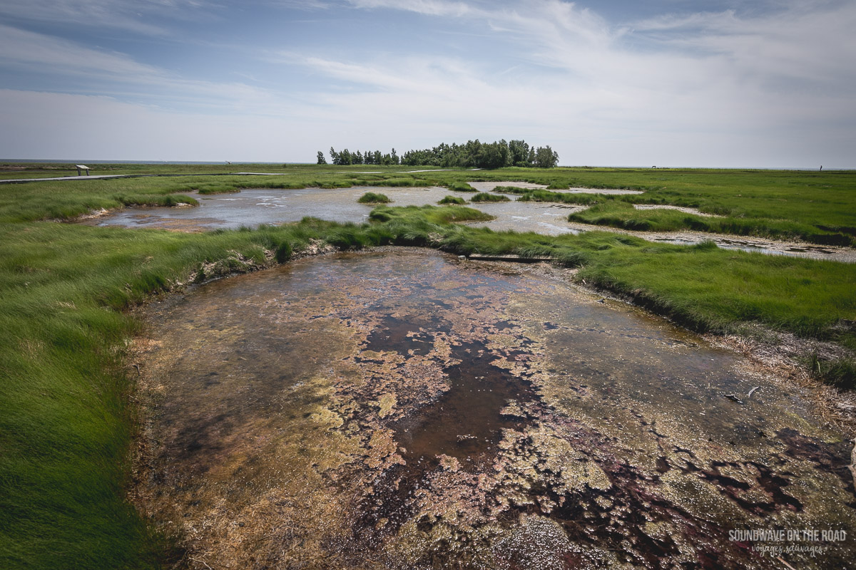 Hay Island, péninsule Acadienne, Nouveau Brunswick, Canada