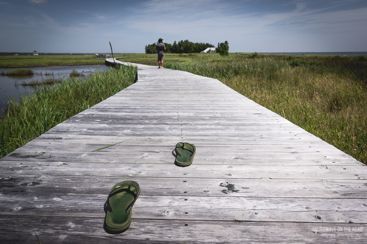 Hay Island, péninsule Acadienne, Nouveau Brunswick, Canada