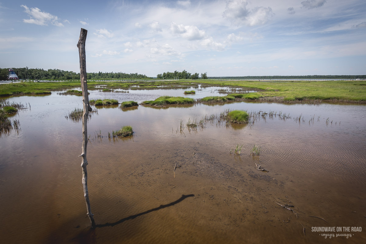 Hay Island, péninsule Acadienne, Nouveau Brunswick, Canada