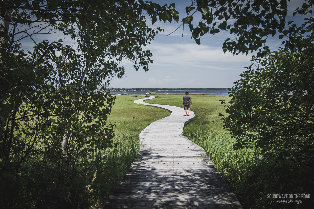 Île-aux-Foins, péninsule Acadienne, Nouveau Brunswick, Canada