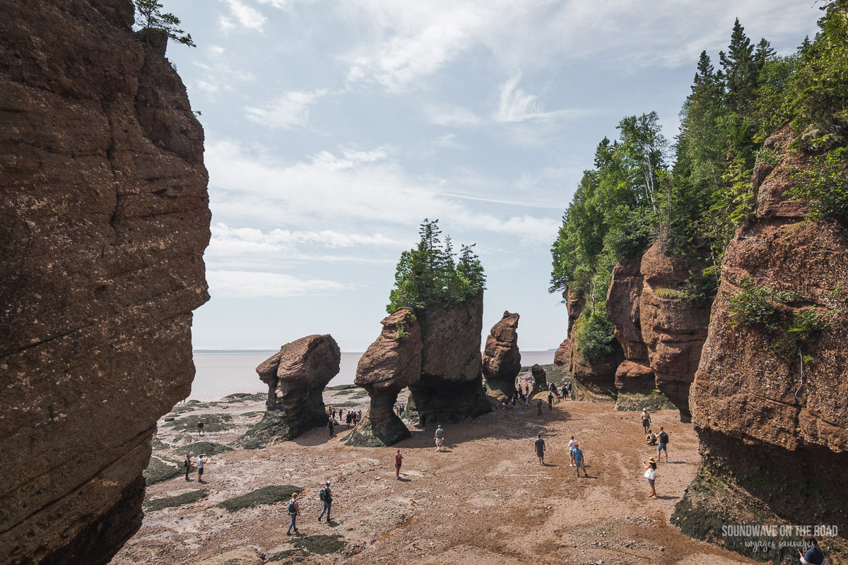 Paysage des Hopewell Rocks en été au Nouveau Brunswick