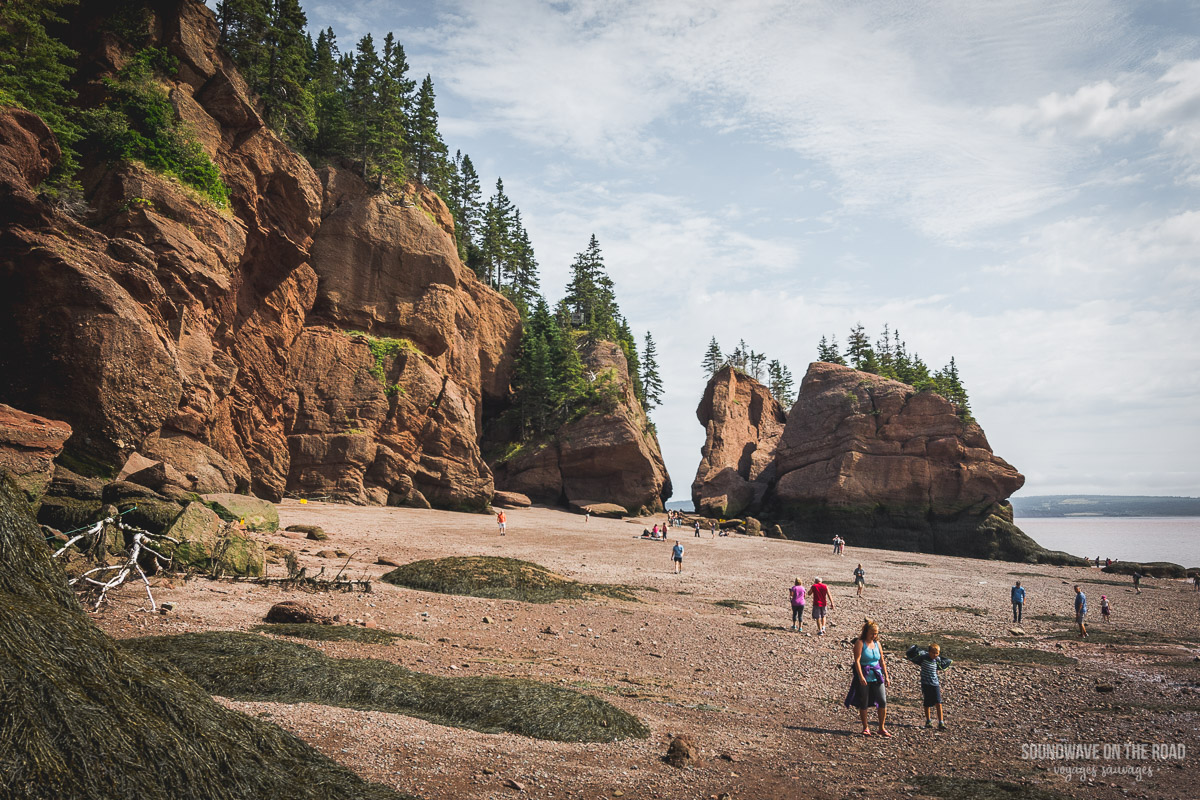 Paysage des Hopewell Rocks au Nouveau Brunswick