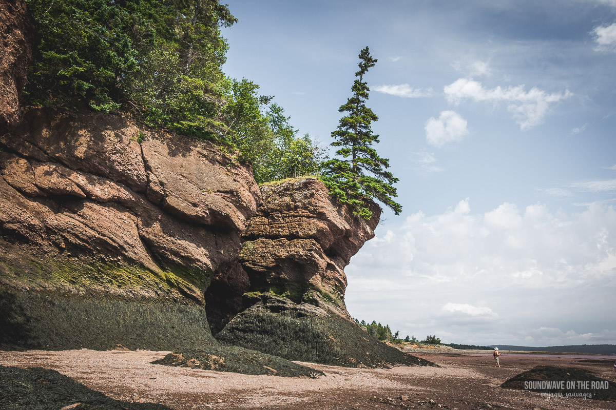 Paysage des Hopewell Rocks au Nouveau Brunswick