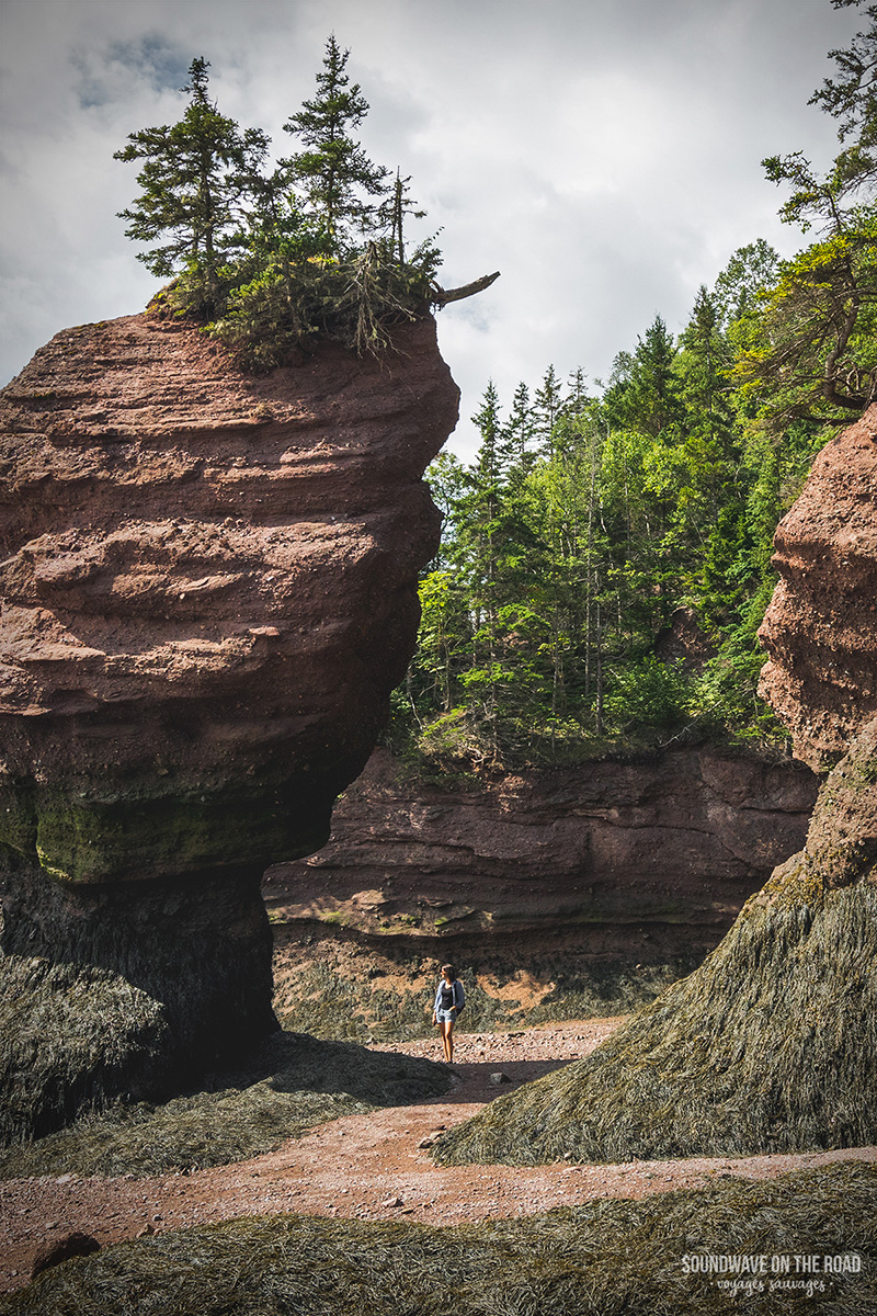 Paysage des Hopewell Rocks au Nouveau Brunswick