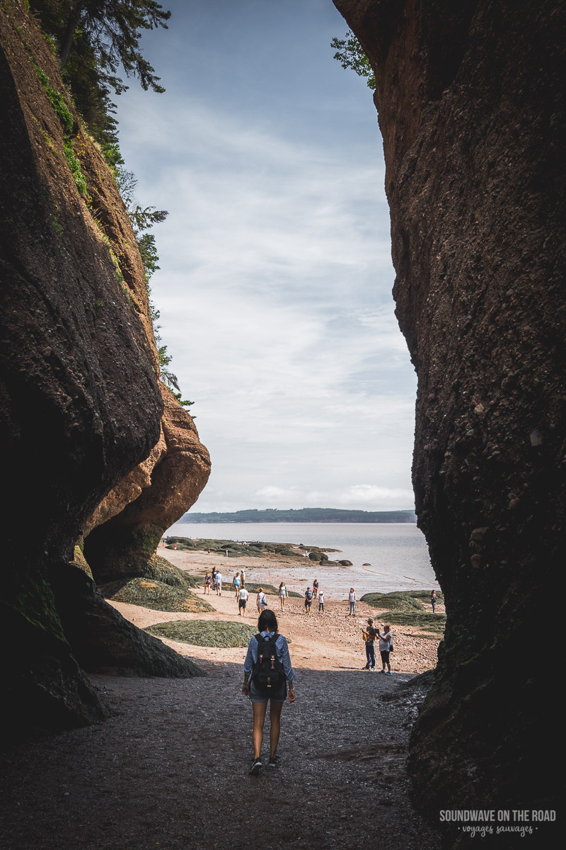 Paysage des Hopewell Rocks au Nouveau Brunswick