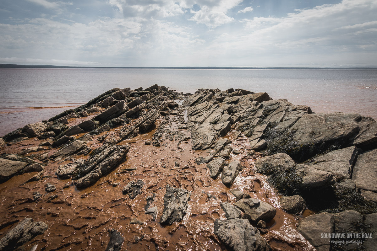 Baie de Fundy, Nouveau Brunswick