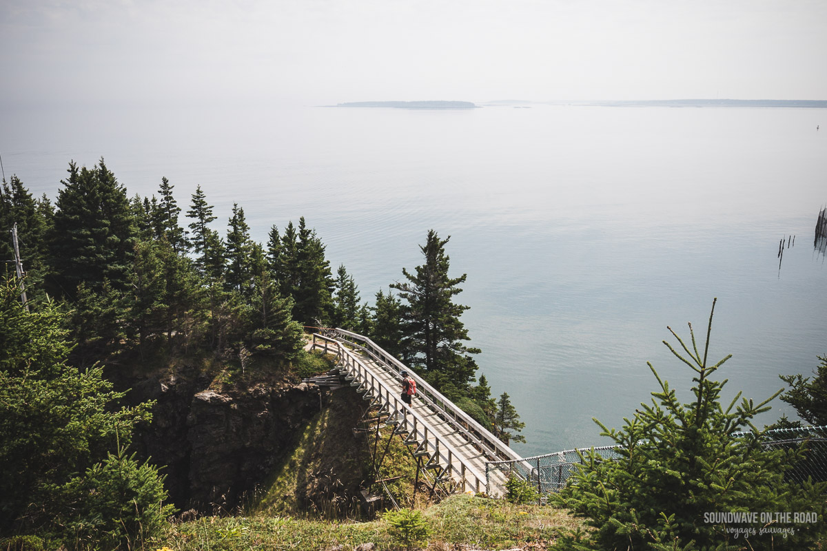 Exploration de l'île Grand Manan au Nouveau Brunswick